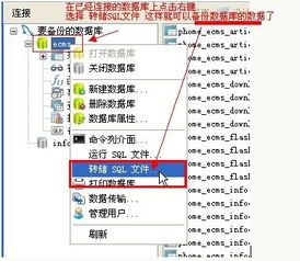 Navicat 高效、強大的跨平臺數(shù)據(jù)庫管理工具