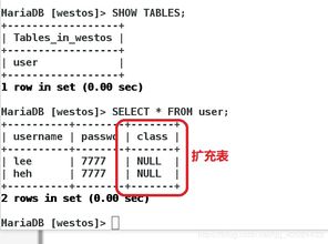 數(shù)據(jù)庫管理的精髓 從架構到日常運維的全面解析